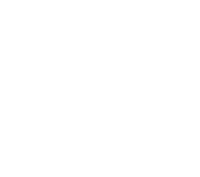 cruise-ship
