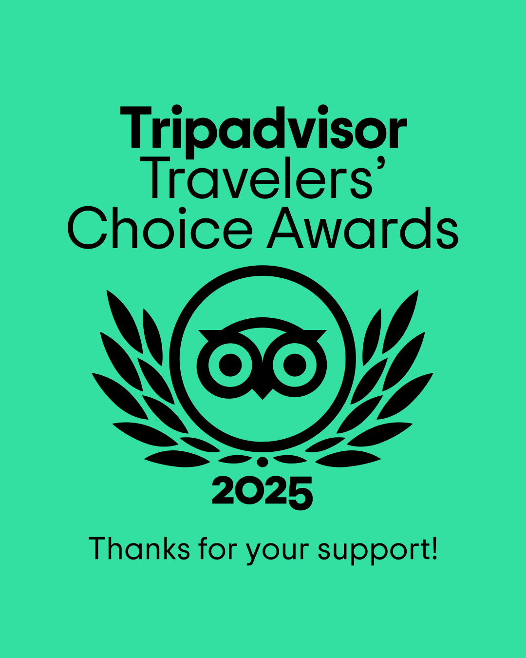 Tripadvisor Travelers' Choice Award 2025
