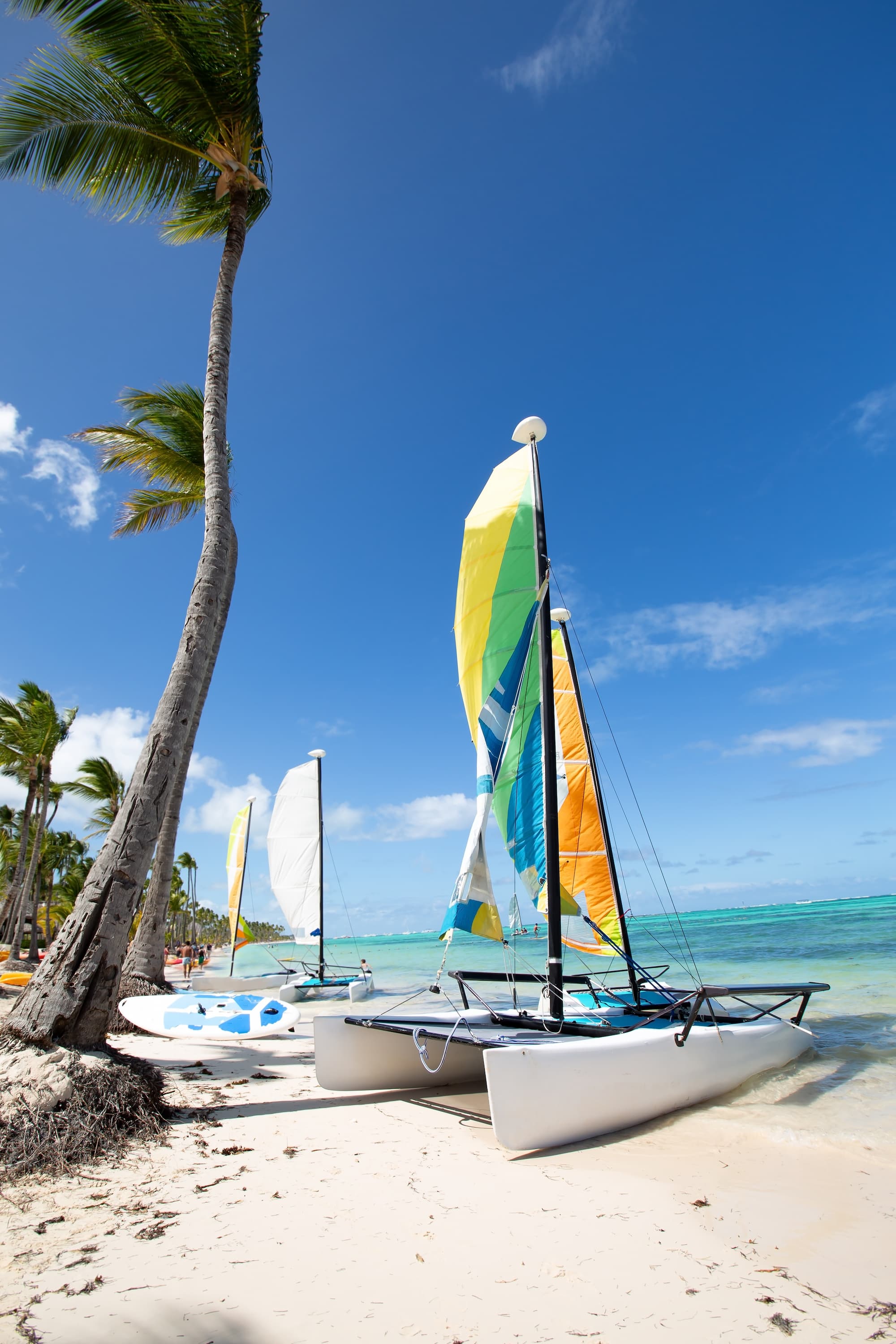 Cabarete Watersports