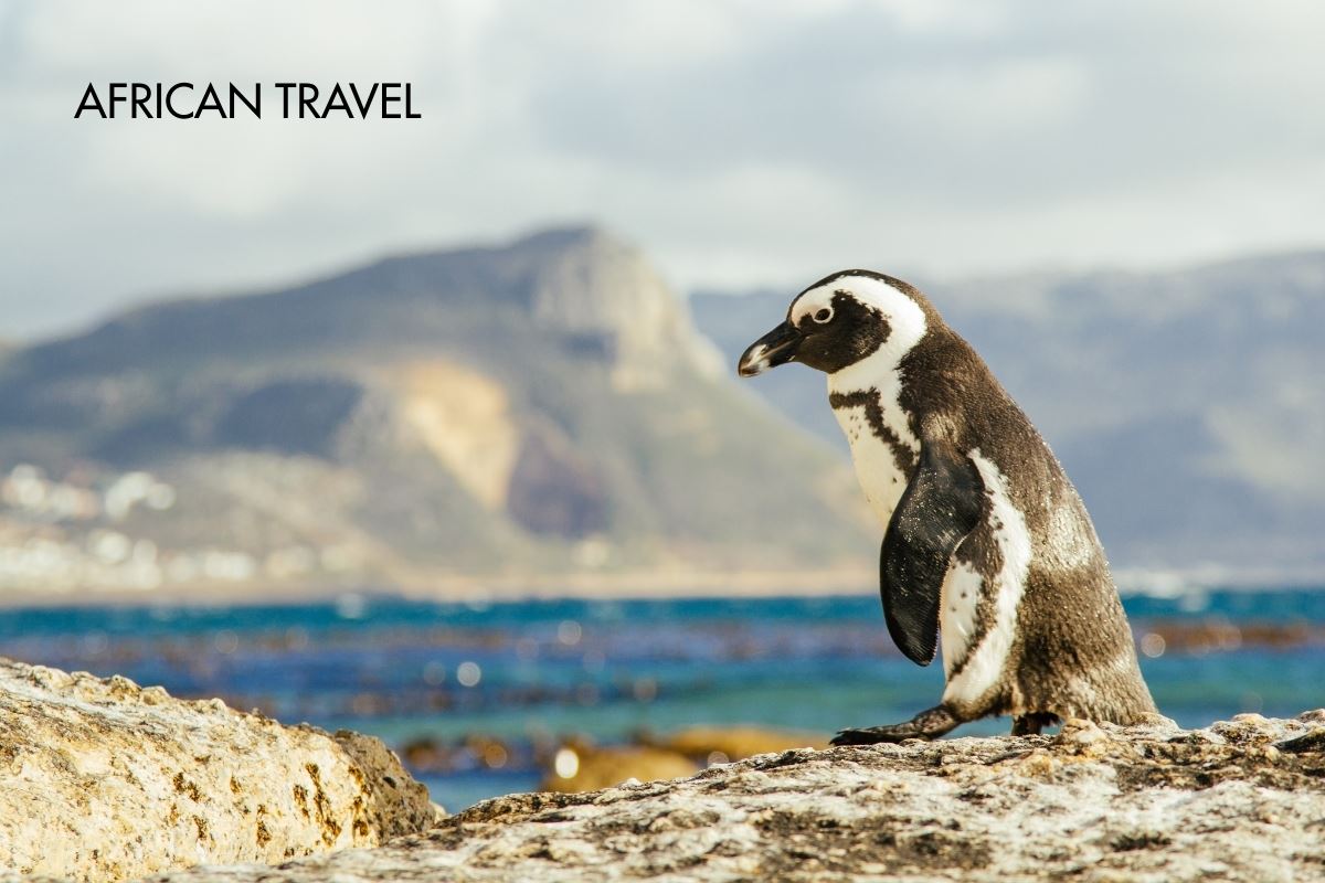 Splendors of Southern Africa