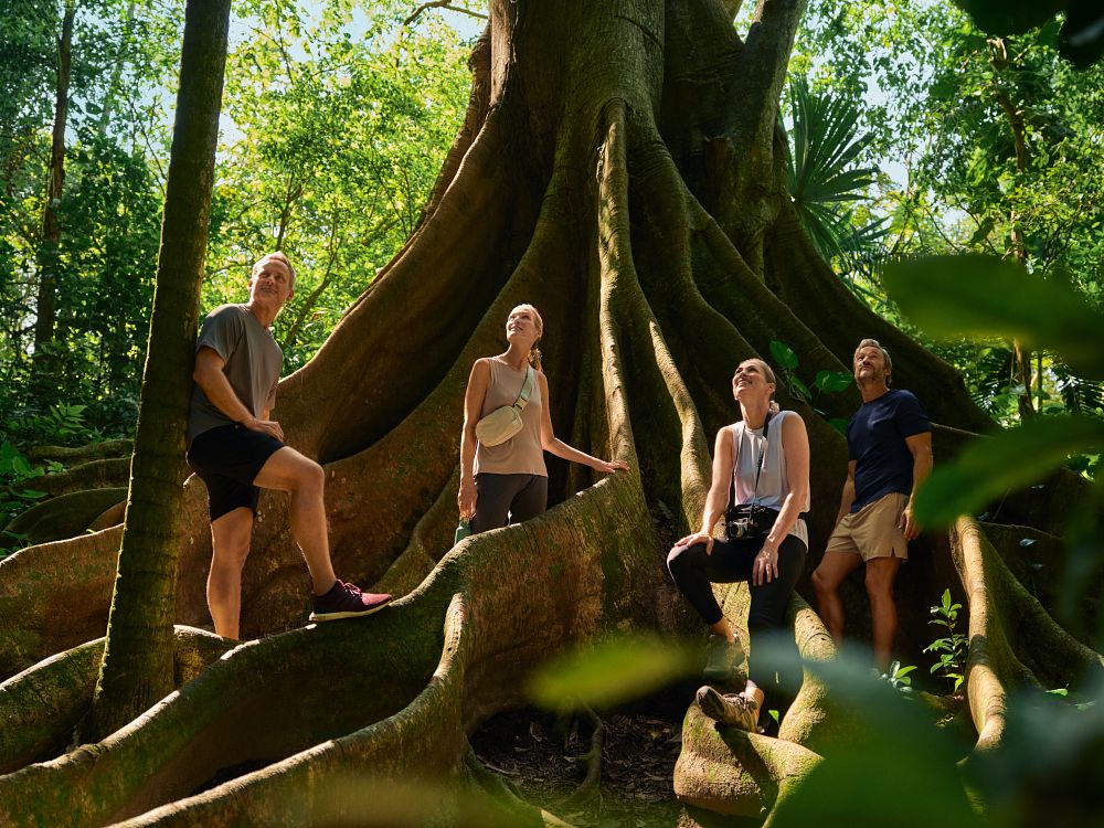 group hiking at tree