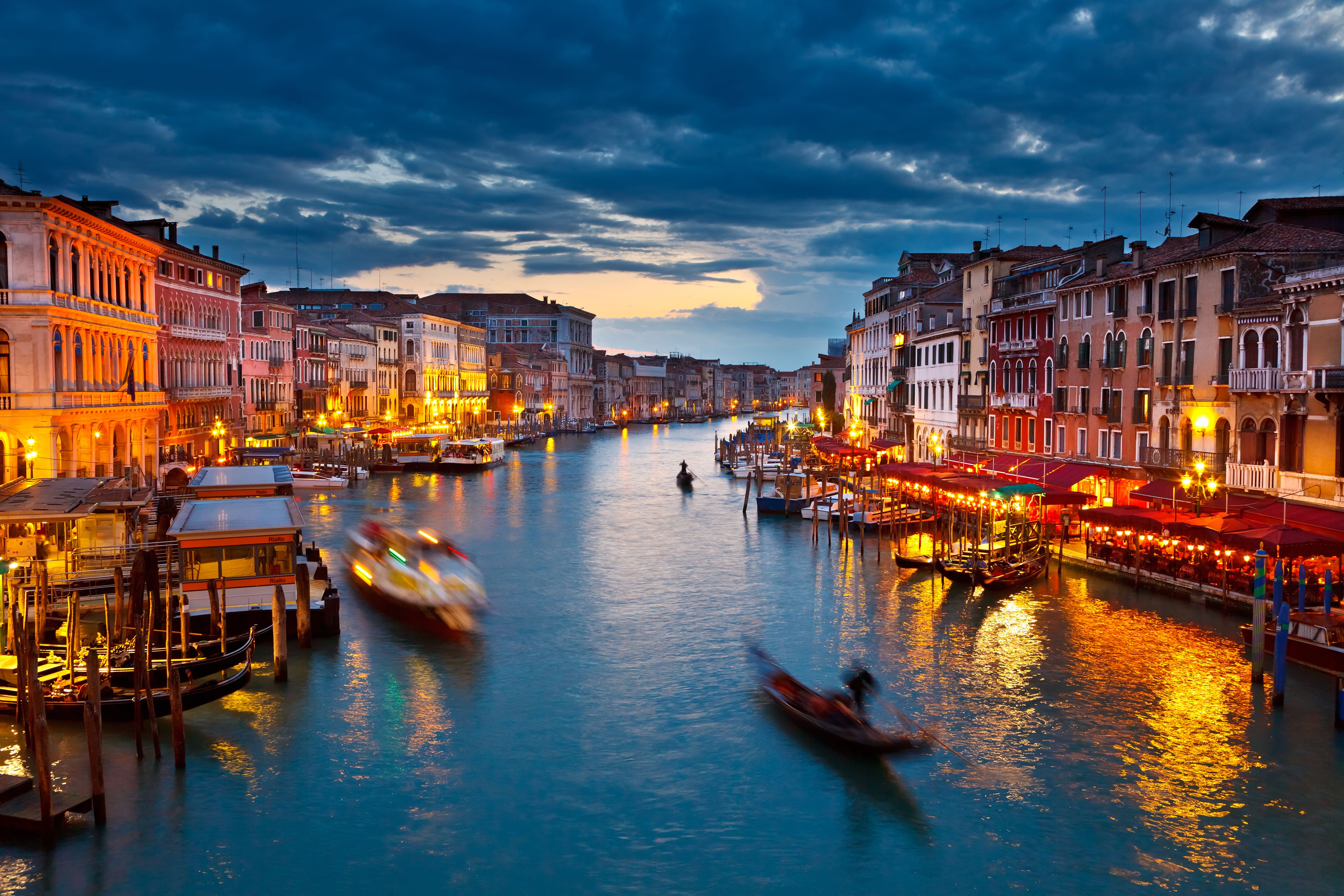 Venice International Film Festival