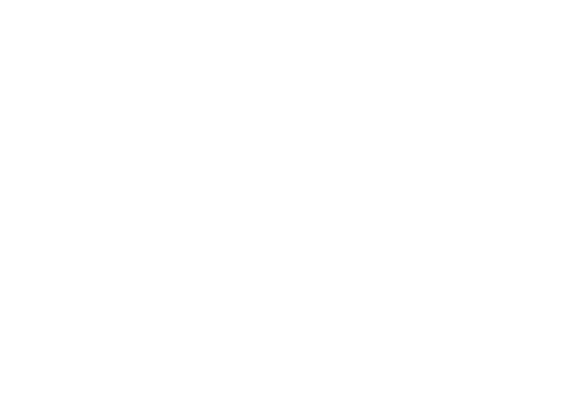 Princess cruises logo